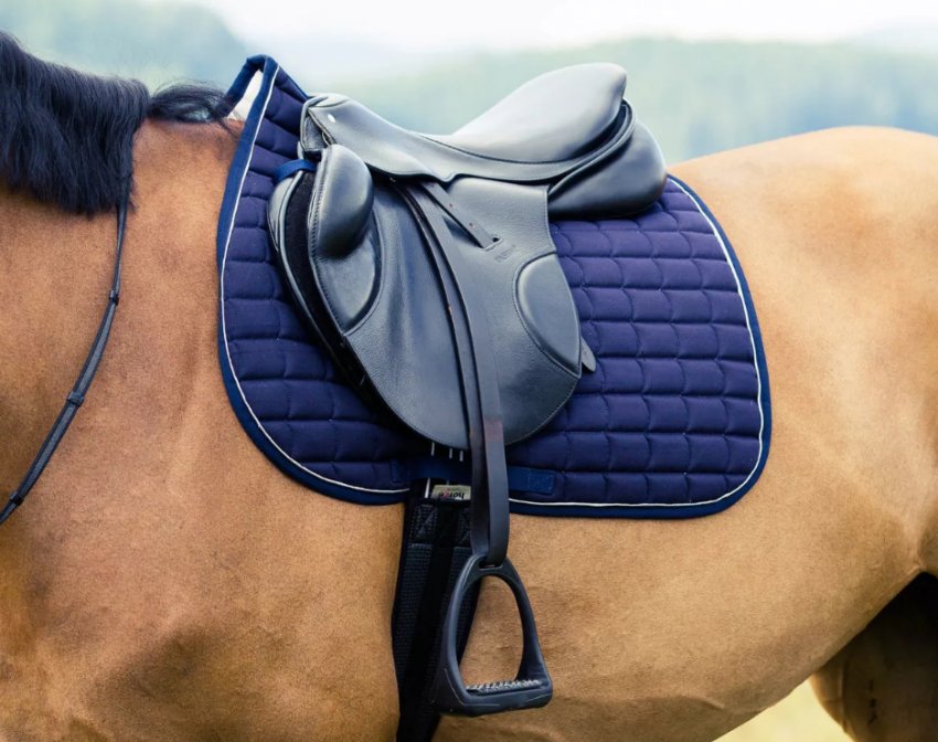 Вальтрап Вальтрап