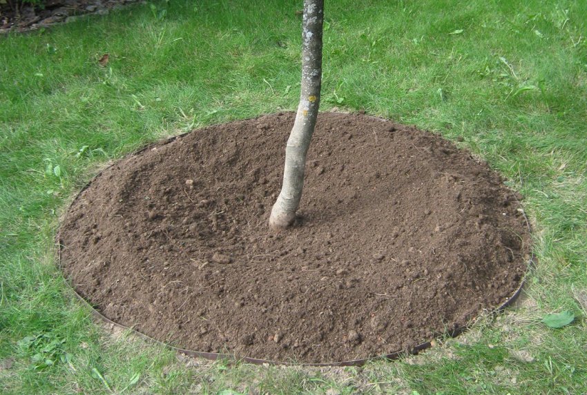 Пристовбурне коло Пристовбурне коло