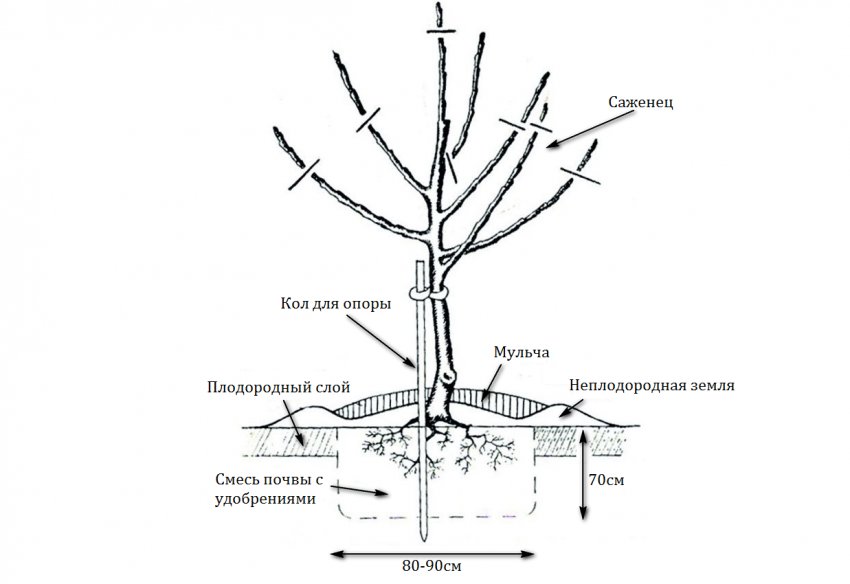 Схема посадки Схема посадки