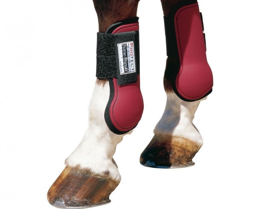 Ногавки Ногавки