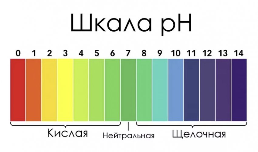 Шкала кислотності грунту