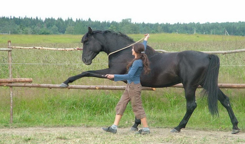 Іспанський крок Іспанський крок