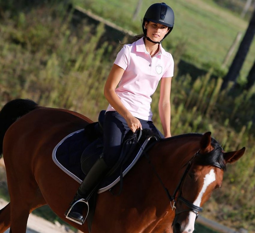 Шолом Шолом