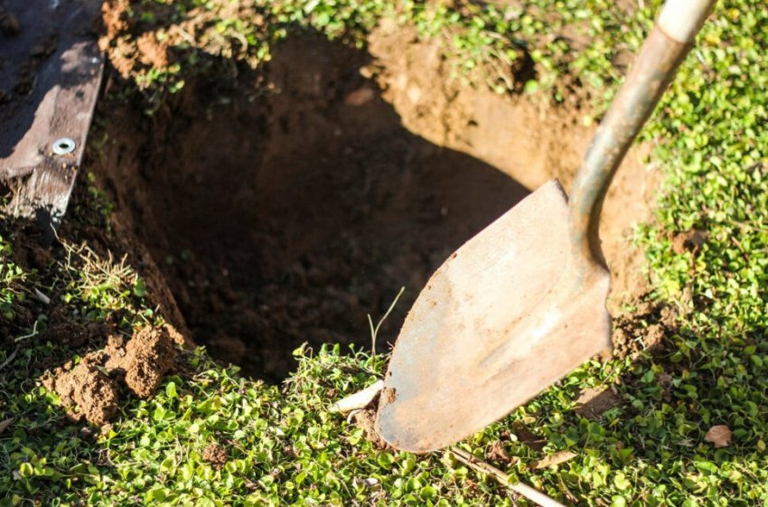 Підготовка посадкової ями Підготовка посадкової ями