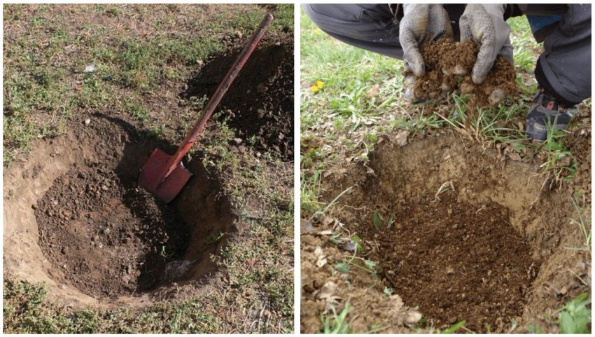 Підготовка посадкової ями