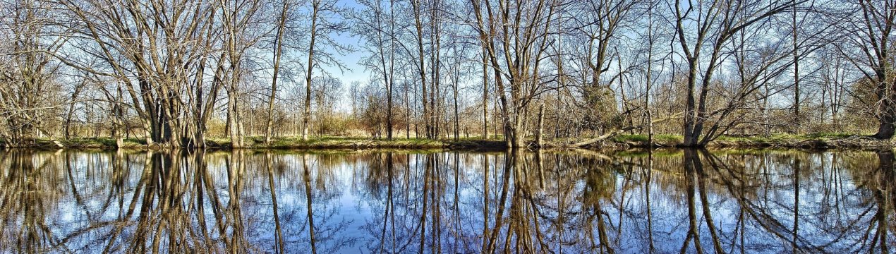 У російських аграріїв немає приводу для «кліматичного занепокоєння»