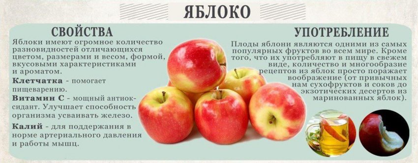 Властивості яблук Властивості яблук