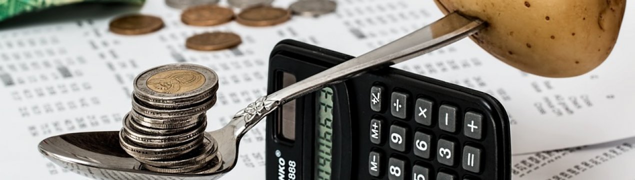 У 2019 році агробізнес України чекають масові перевірки