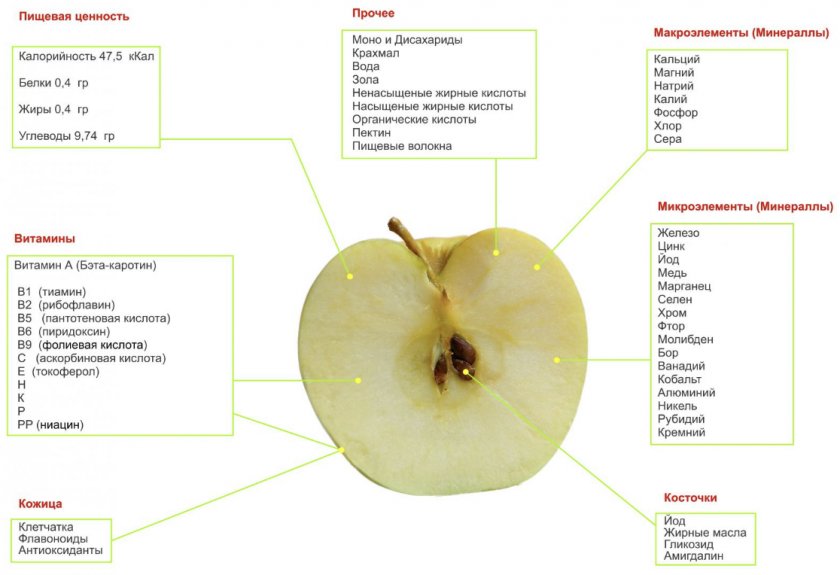 Химический и витаый состав яблока