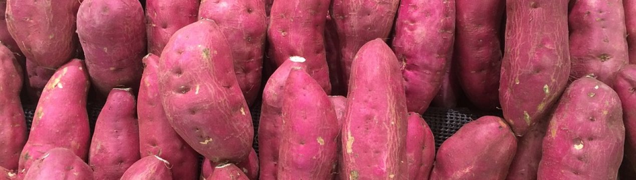 Органічний батат зросте в Одеській області