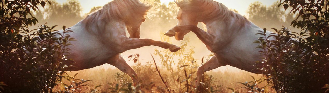 Татарські коні — під пильною охороною держави