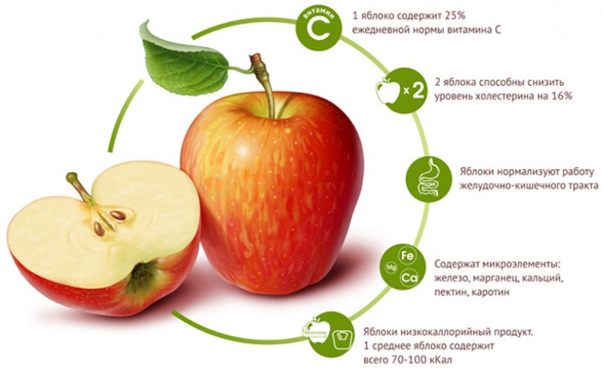 Полезные свойства яблока