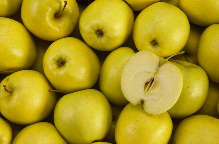 желтые яблоки название