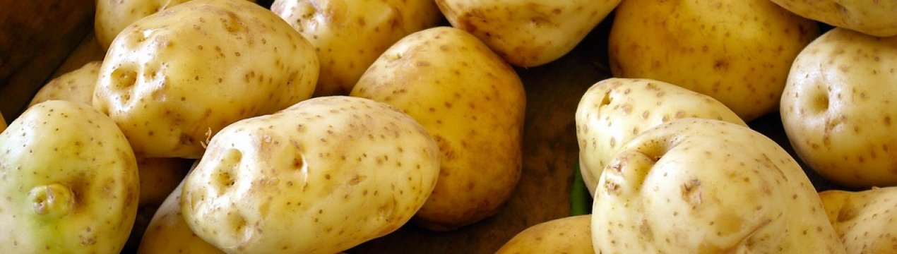 Єгипетський молода картопля штурмує ринок України