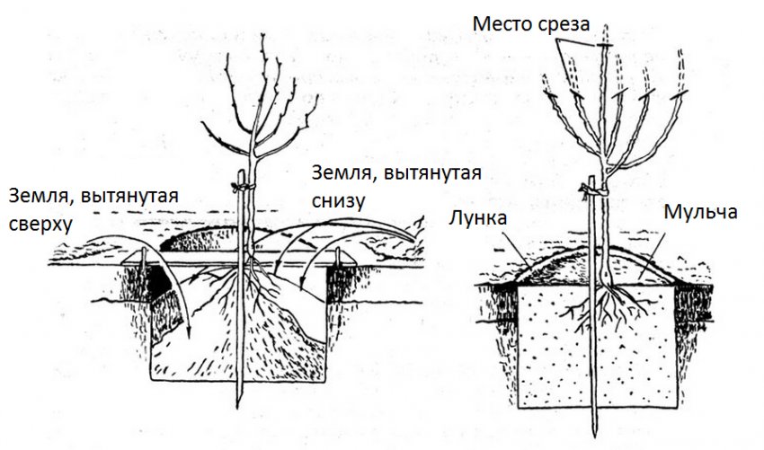 Схема посадки