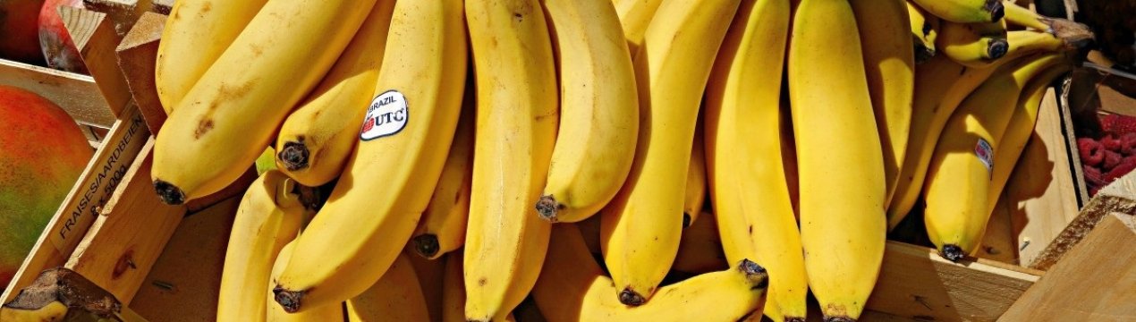 У Туркменістані вирішили вирощувати банани