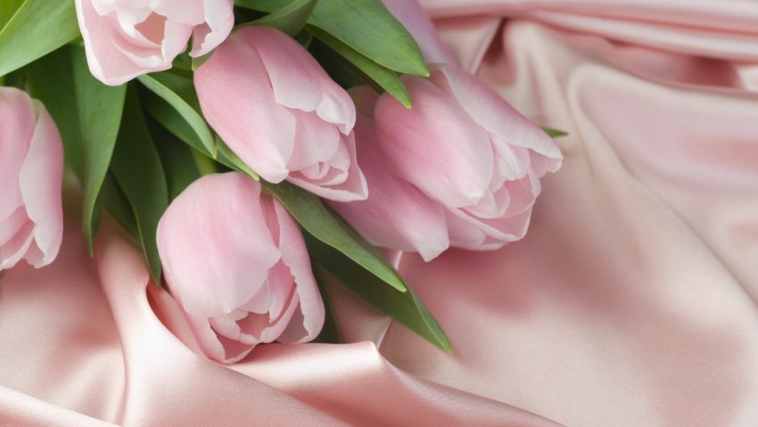 Квіти до 8 березня Квіти до 8 березня