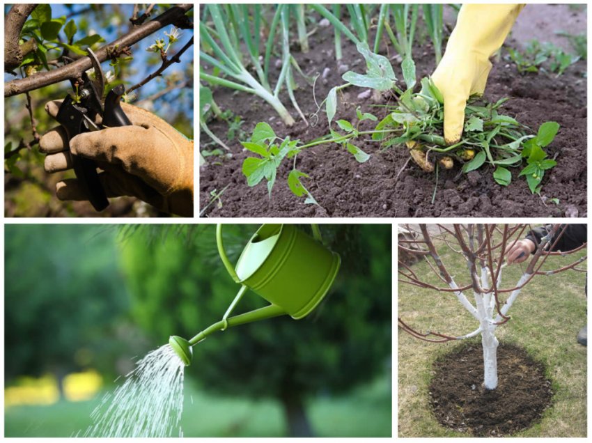 Роботи в саду і городі Роботи в саду і городі