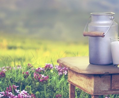 «Савушкін продукт» почав випускати сирки