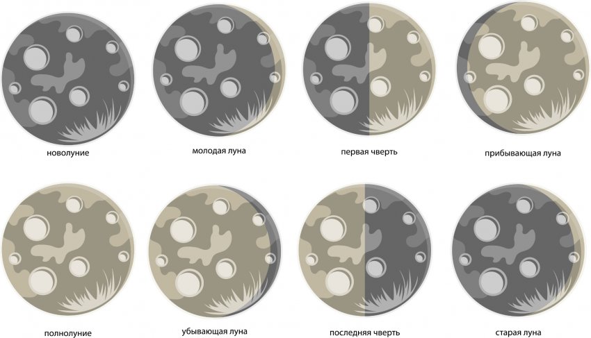 Фази місяця Фази місяця