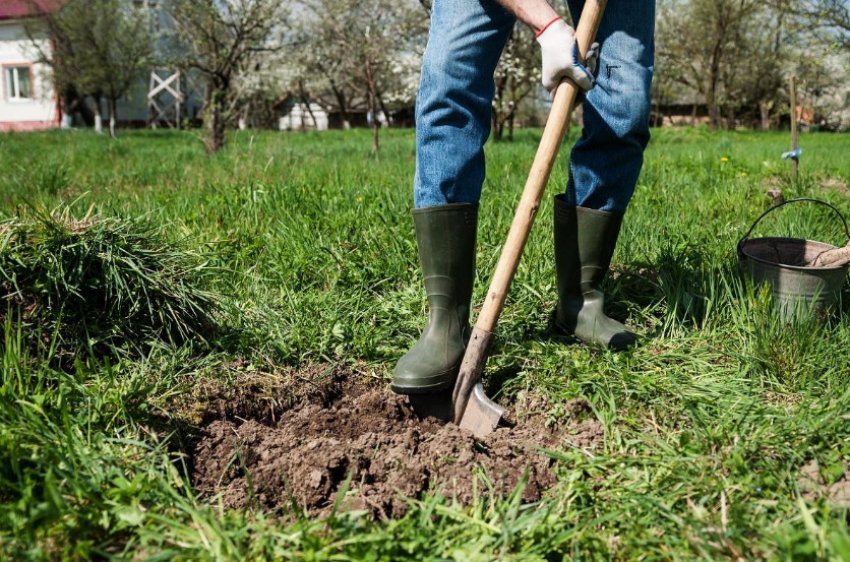 Перекопування грунту