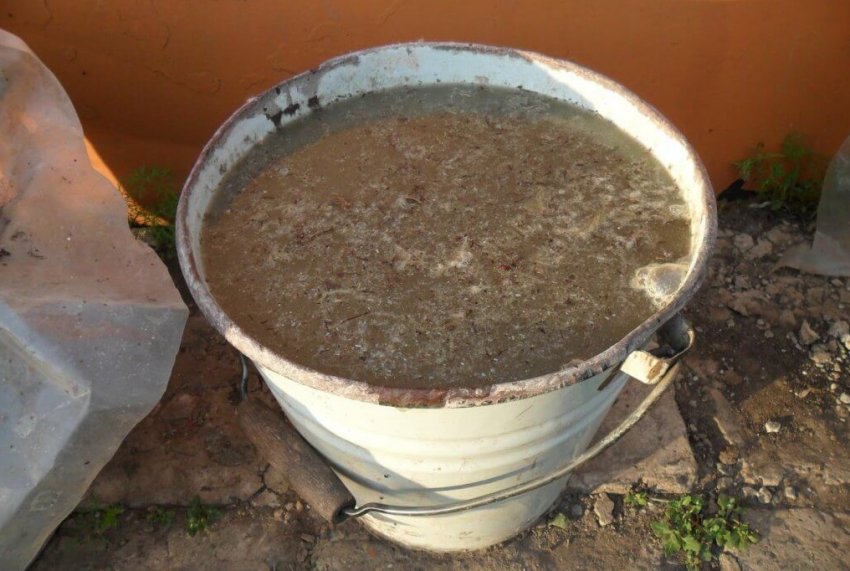 Органічні добрива для яблуні Органічні добрива для яблуні