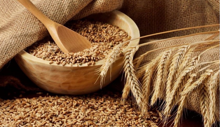 Выход на рынок первых продуктов для зерновых следует ожидать в 2019-2020 годах Выход на рынок первых продуктов для зерновых следует ожидать в 2019-2020 годах