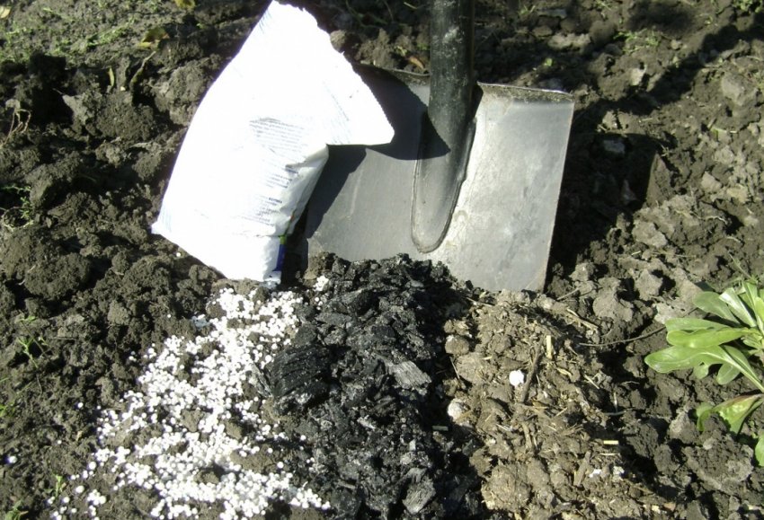 Добрива для грунту Добрива для грунту