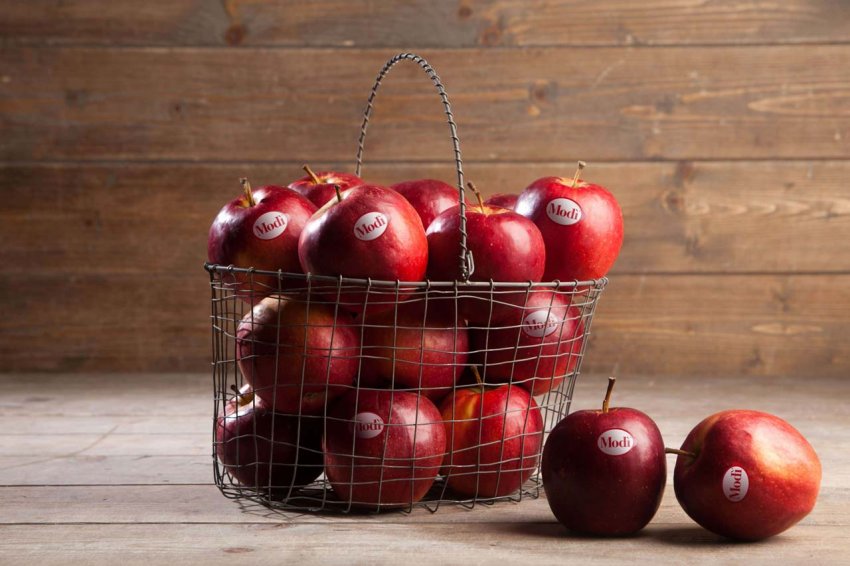 Яблука сорту Моді
