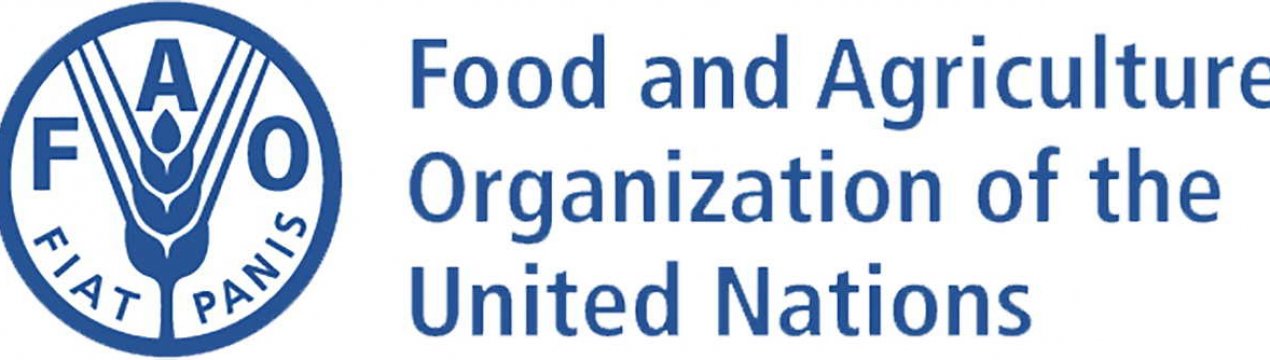 Відзначено зростання світових цін на продовольство