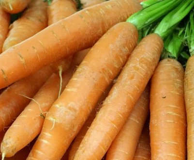 Характеристика і опис моркви сорту Осінній король