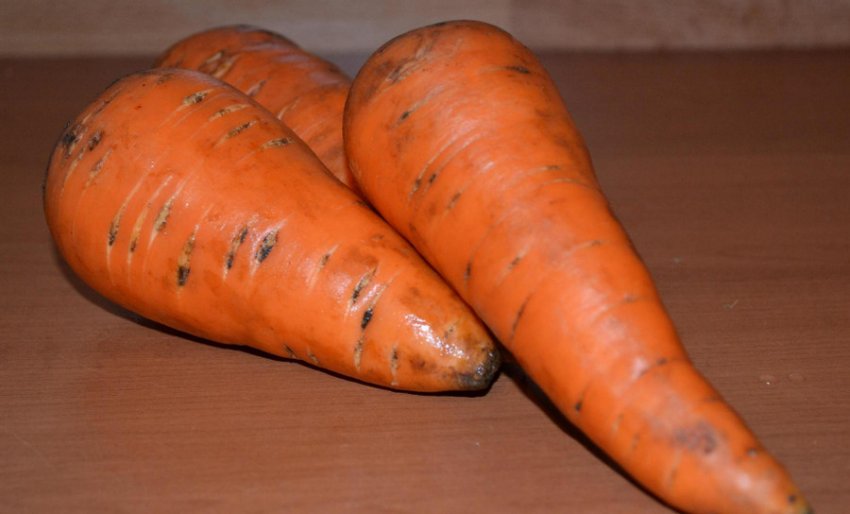 Морковь сорта Осенний король