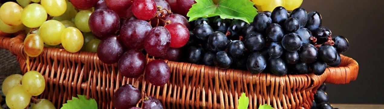 На ринок вийшов новий Мурсийский винограду зі стійкістю до хвороб