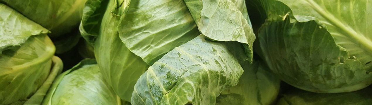 Капуста в Україні продовжує дорожчати