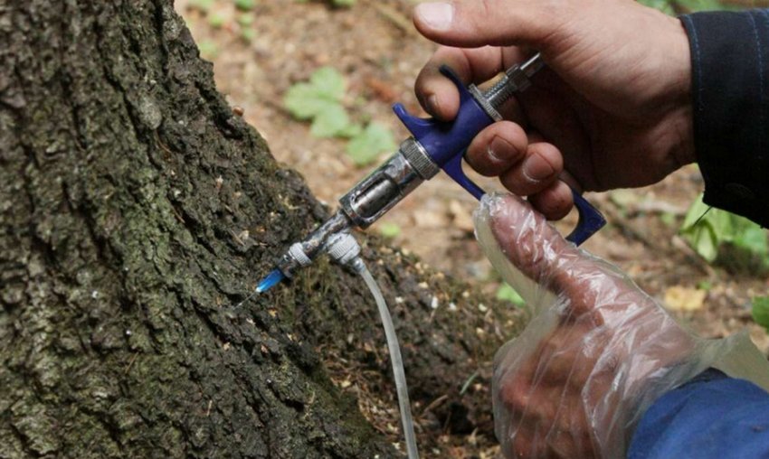 Шприцювання