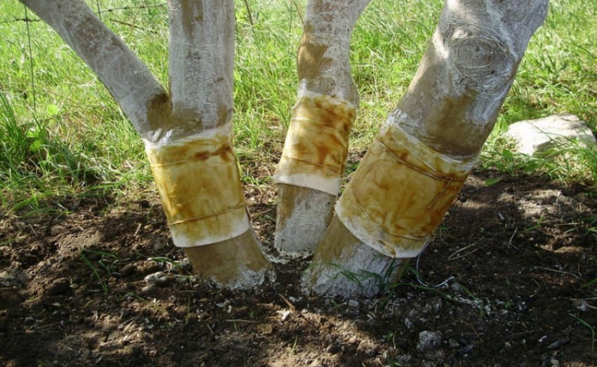 Ловчий пояс