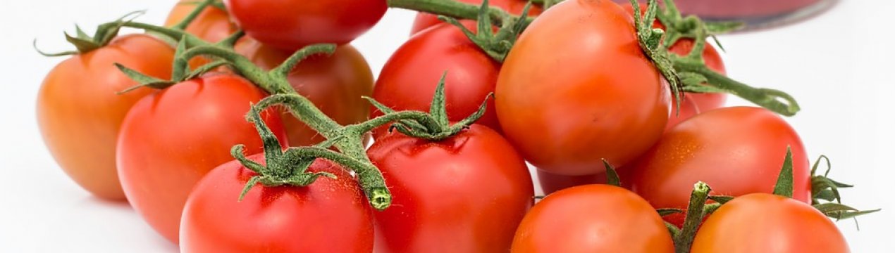 Україна відмовилася від ввезення заражених турецьких томатів