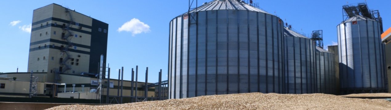 В Україні спостерігається дефіцит потужностей для зберігання зерна