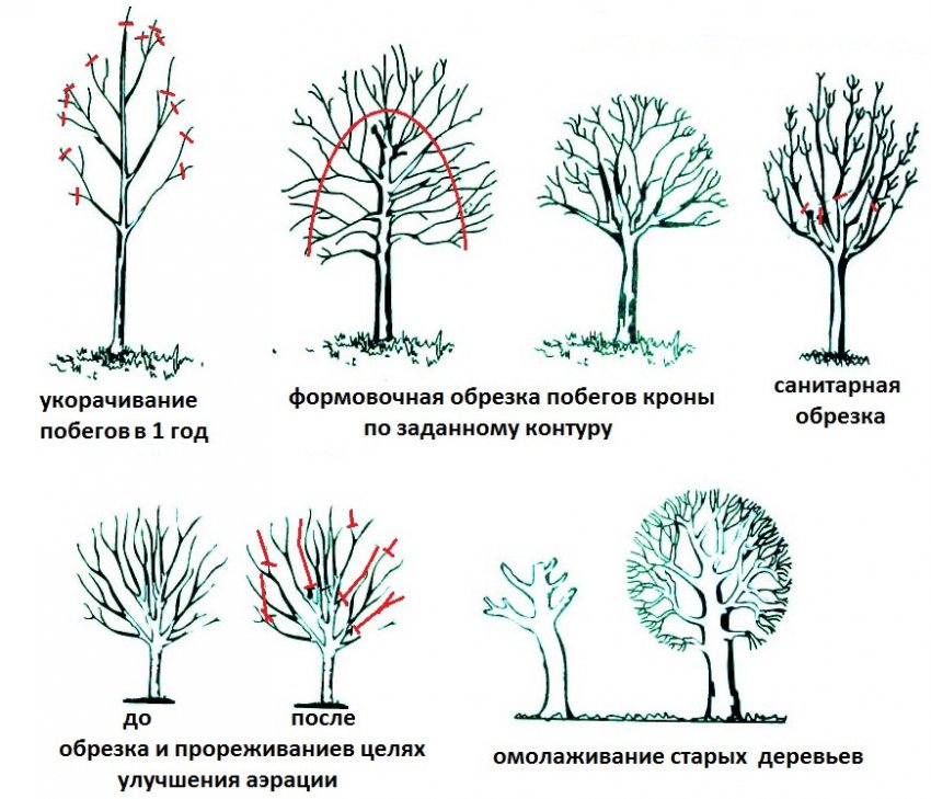 Обрезка