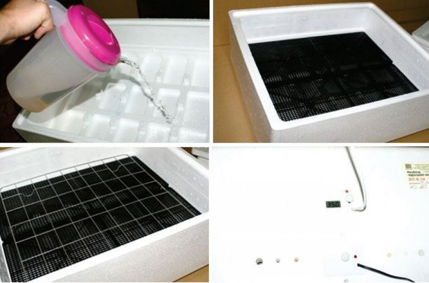 Підготовка інкубатора