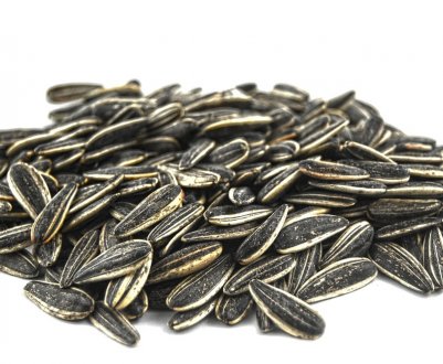 Україна імпортує все більше насіння соняшнику