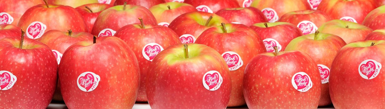 Сорт яблук Пінк Леді: ботанічний опис і умови для вирощування