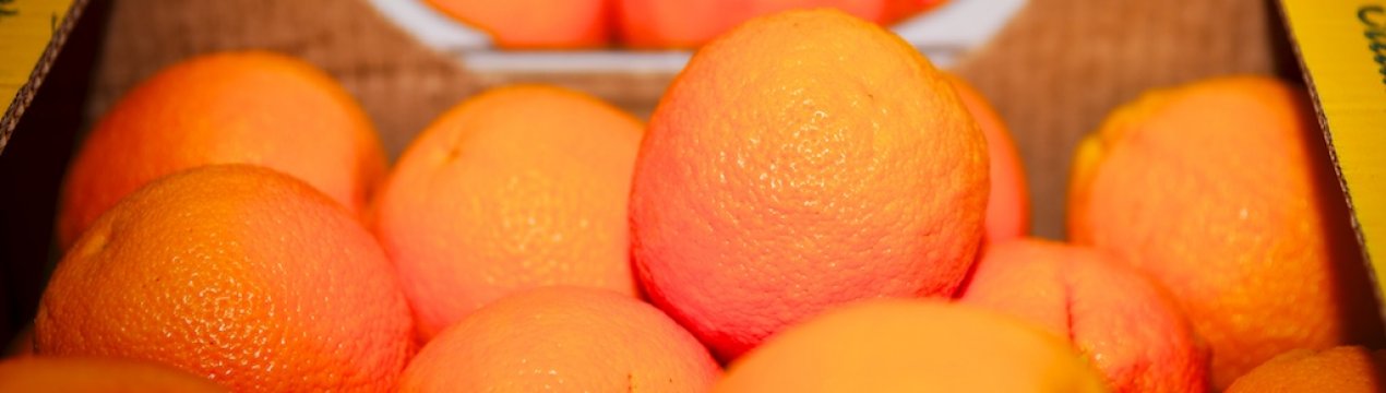 У США зафіксовано зменшення експортних об'ємом апельсинів і мандаринів