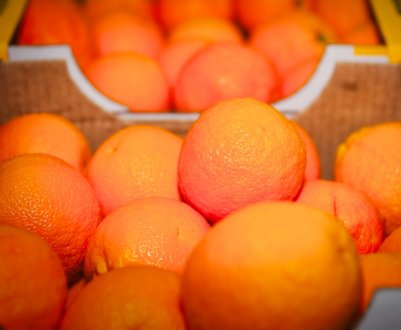 У США зафіксовано зменшення експортних об'ємом апельсинів і мандаринів