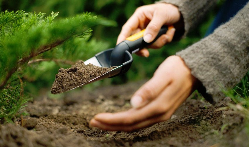 Садові роботи