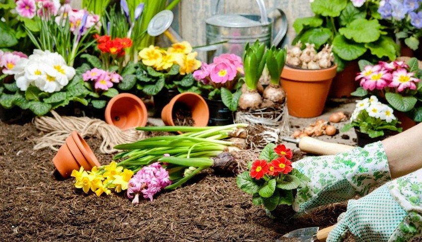 Робота в квітнику