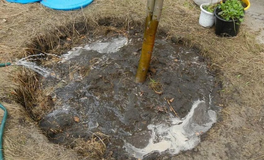 Поверхневий полив