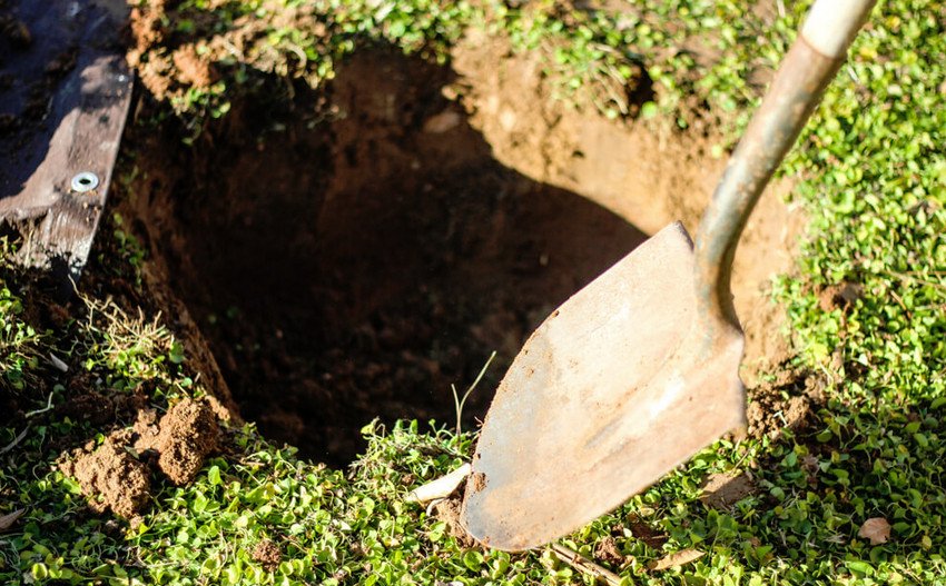 Підготовка ями для посадки Підготовка ями для посадки