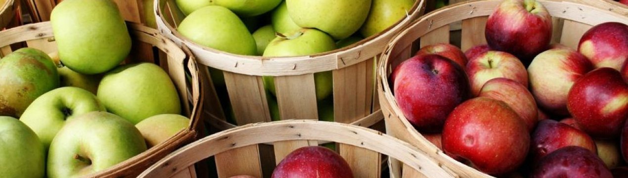 Химический состав, пищевая ценности и калорийность яблок