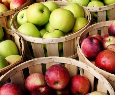 Хімічний склад, харчова цінність і калорійність яблук